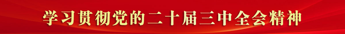 學(xué)習(xí)貫徹黨的二十屆三中全會精神